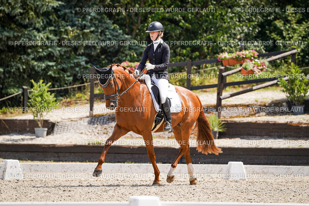 DSC00846 | Pferdegrafie