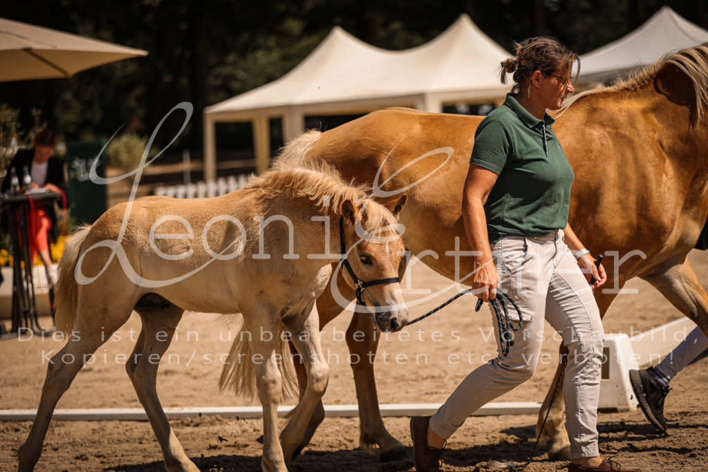 06.DoH00073 | Leoni Ertmer Photography - Realisiert mit Pictrs.com