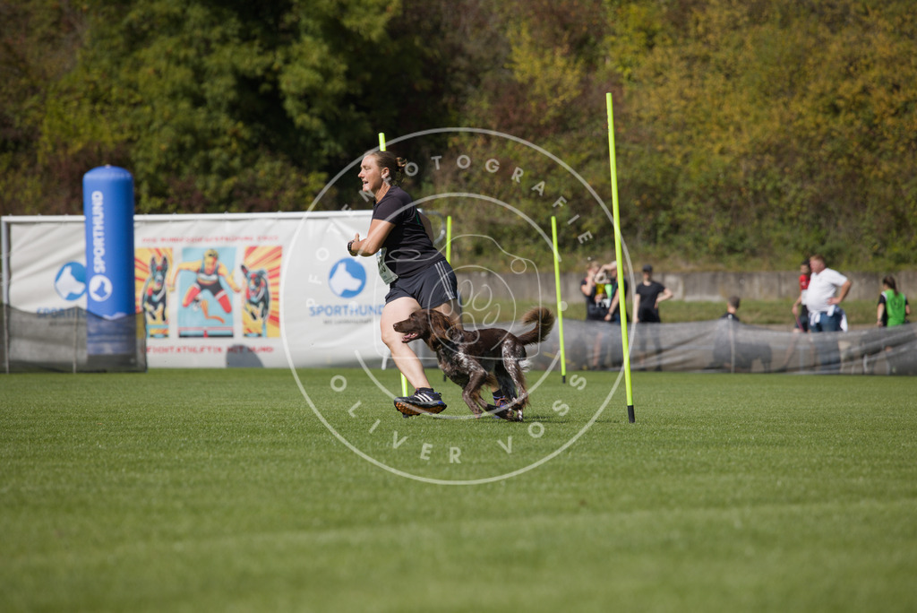 0L8A2998 | Hundefotografie, Tierfotograf, Pfotenfotografie, Fotoshooting Hund, Hunde Portrait, Hundesport, Hundeportraits, Heideshooting, Hunde, Sportfotograf, Hundefotograf, Turnierhundsport, THS,  - Realisiert mit Pictrs.com