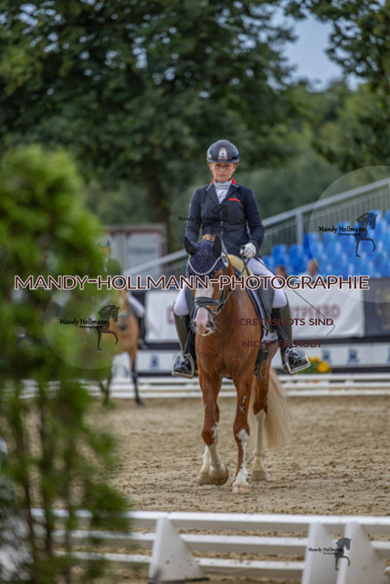RPF 4j H (1181 von 1519) | mandyhollmannphotographie