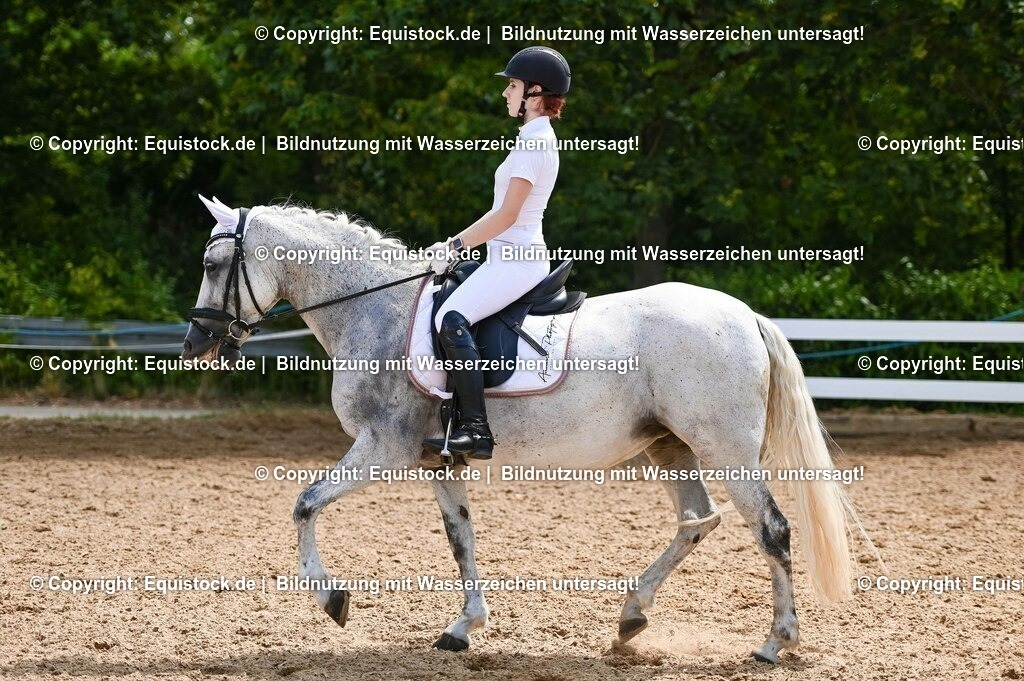 20230715_09_Dressur-WB_0302 | equistock