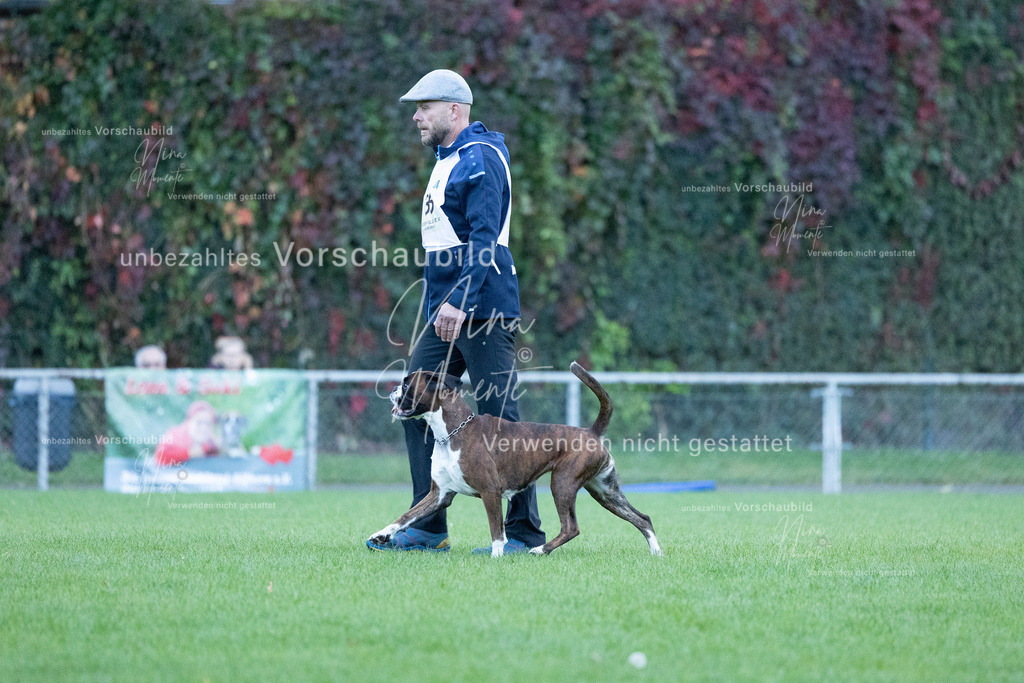 _16A4510 | Einzigartige Fotos von Hunden & Menschen –Actionfotos, Portraits, Vereinsaufnahmen & Paarshootings – authentisch, lebendig & mit Herz.