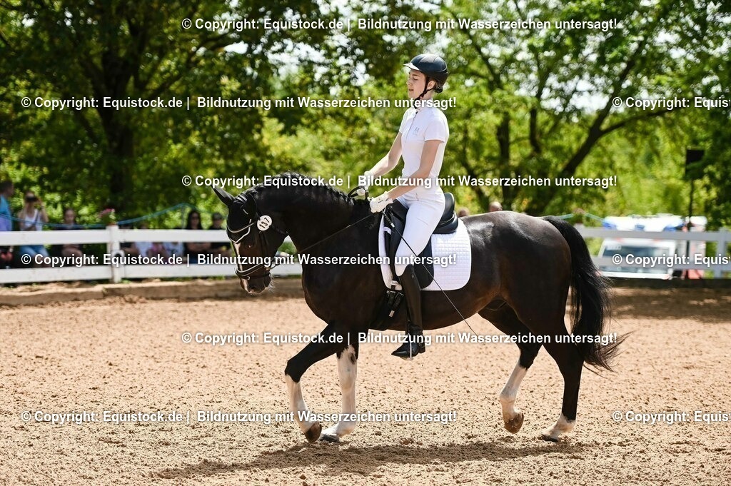 20230716_03_Dressurprfg. Kl.L - Tr._0012 | equistock