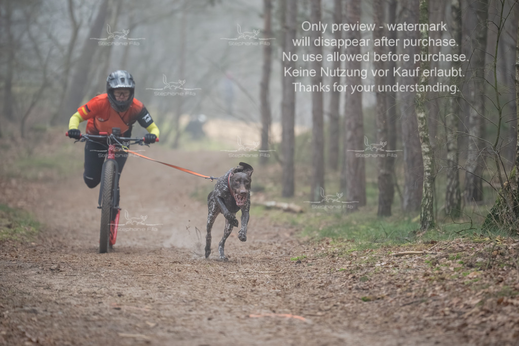 Scooter1-22 | stephaniefillaphotographie - Realisiert mit Pictrs.com