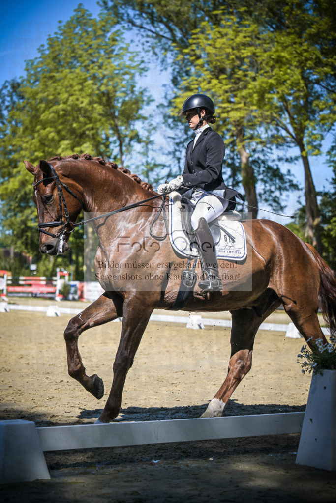 DOS_6554 | Entdecke hochwertige Reitturnierfotos von Foto Oger. Professionell, emotional und authentisch – jetzt Lieblingsmomente im Shop bestellen.Deutschlandweite Turnierfotografie. - Realisiert mit Pictrs.com