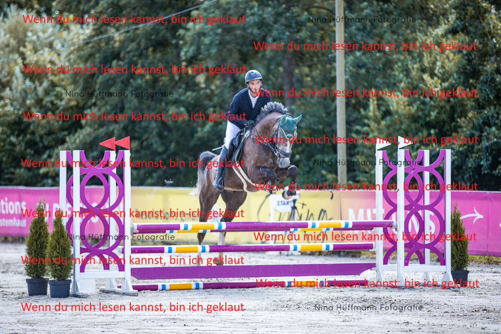 BK1A5091 | Turnierbilder Turnierfotos Nina Hüffmann Turnierfotografie Pferdefotografie Tierzeichnung Haustierzeichnung Pferdezeichnung Hundezeichnung Videograf  - Realisiert mit Pictrs.com