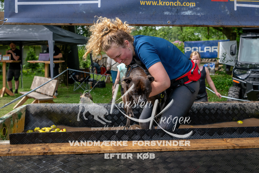 1122_ZZ93870 | kk-dogfotos