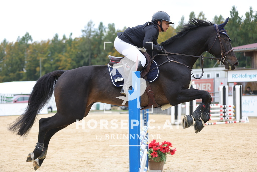0P6A2895 | Willkommen bei Brunnmayr - Design & Fotografie – Ihrem Spezialisten für Reitturniere und Pferdeveranstaltungen in Oberösterreich, Salzburg und Bayern! Seit über 17 Jahren sind wir leidenschaftlich dabei.