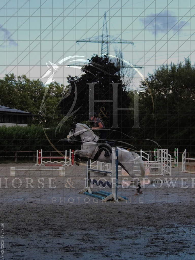 1787943536___C0710299 | handhphotographie - Realisiert mit Pictrs.com