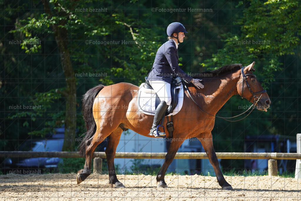 20240706-FAH04555 | Grafing Turnierfotos, Reitverein Ebersberg, Turnierfotografen Bayern, reitsportbilder, Pferdefotograf, reitsportfotograf, Sportbilder, Reitsportfotografie, Fotoagentur Herrmann, Turnierfotograf