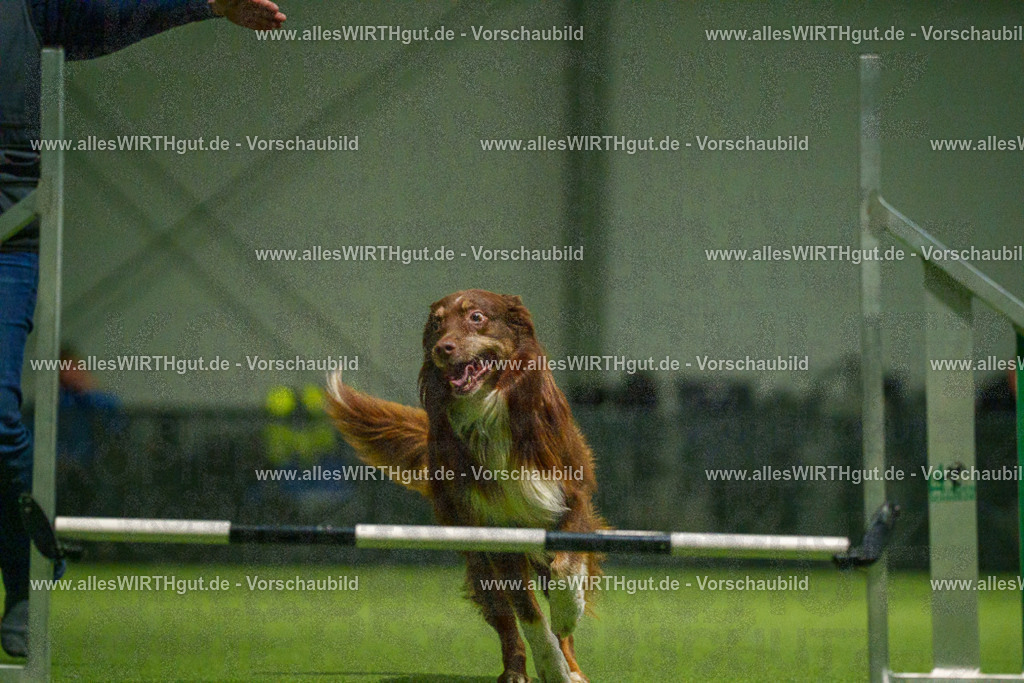 7R509087 | Professionelle Tierfotografie in Mönchengladbach von Daniel Wirth (allesWIRTHgut). Liebevolle & natürliche Bilder von Hunden & Katzen für unvergessliche Erinnerungen.