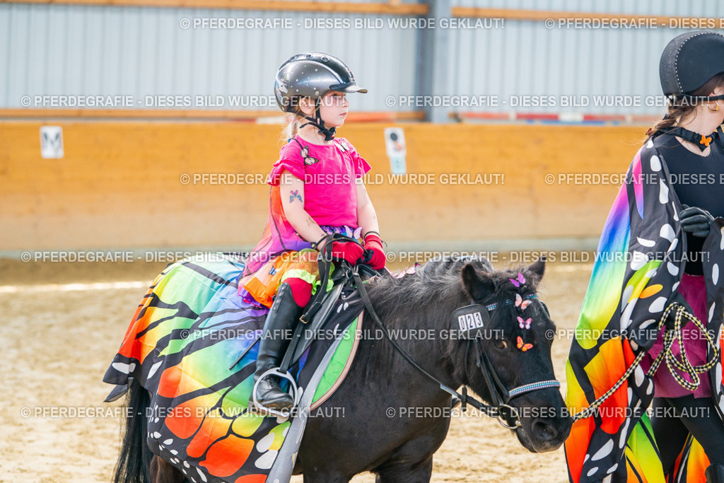 DSC00591 | Pferdegrafie