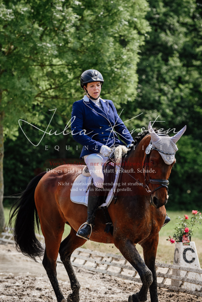 DSC_1187 | Pferde- und Turnierfotografie in Westsachsen. Pferdeportraits, Auftragszeichnungen und intuitive Kunst.