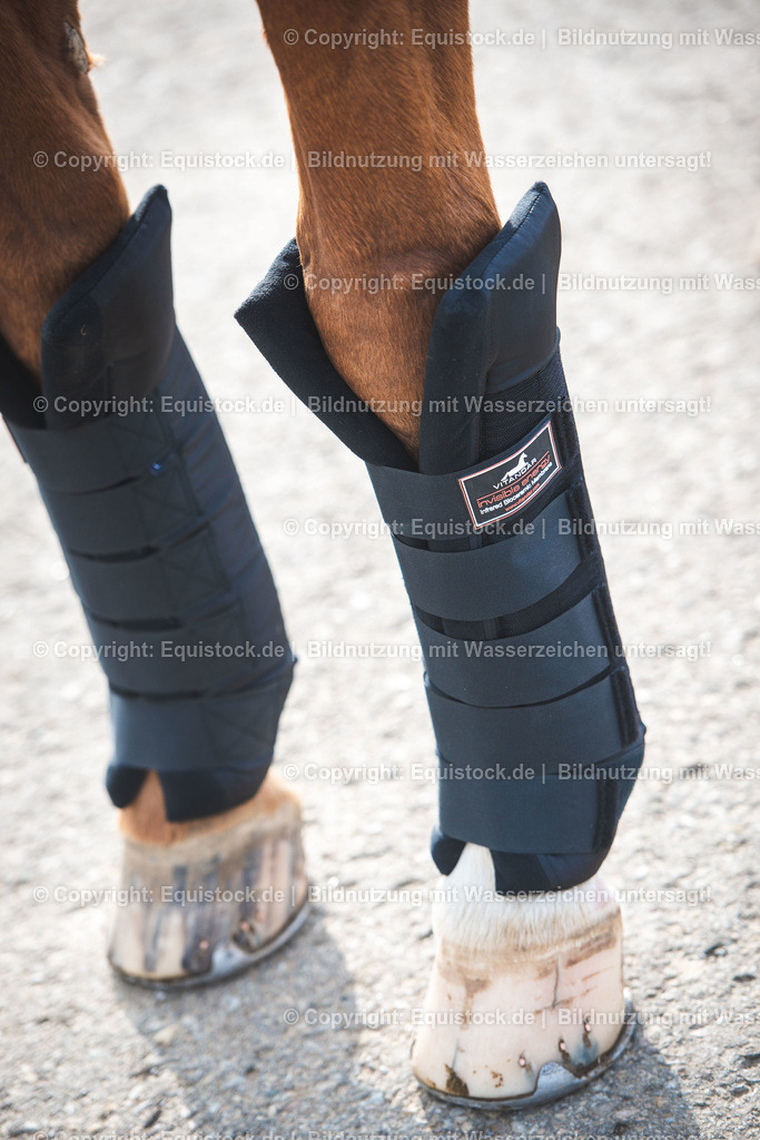 20191030_Wärmegamaschen_0001 | equistock
