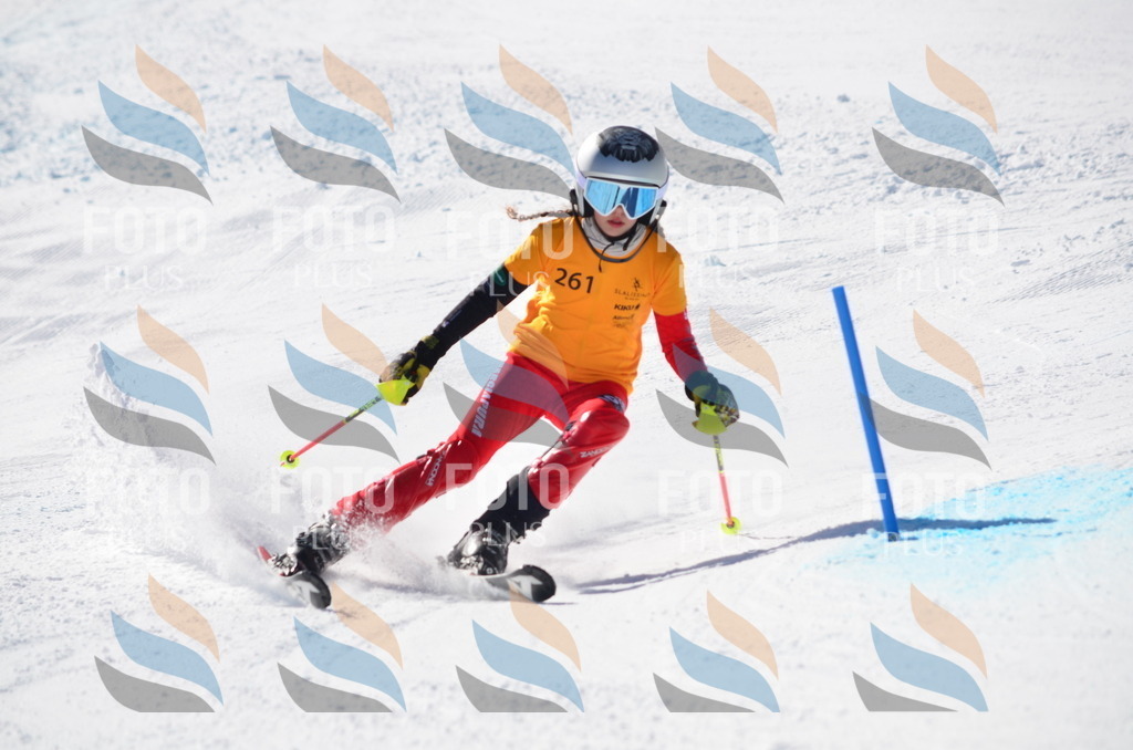 C8513 | holidayphoto