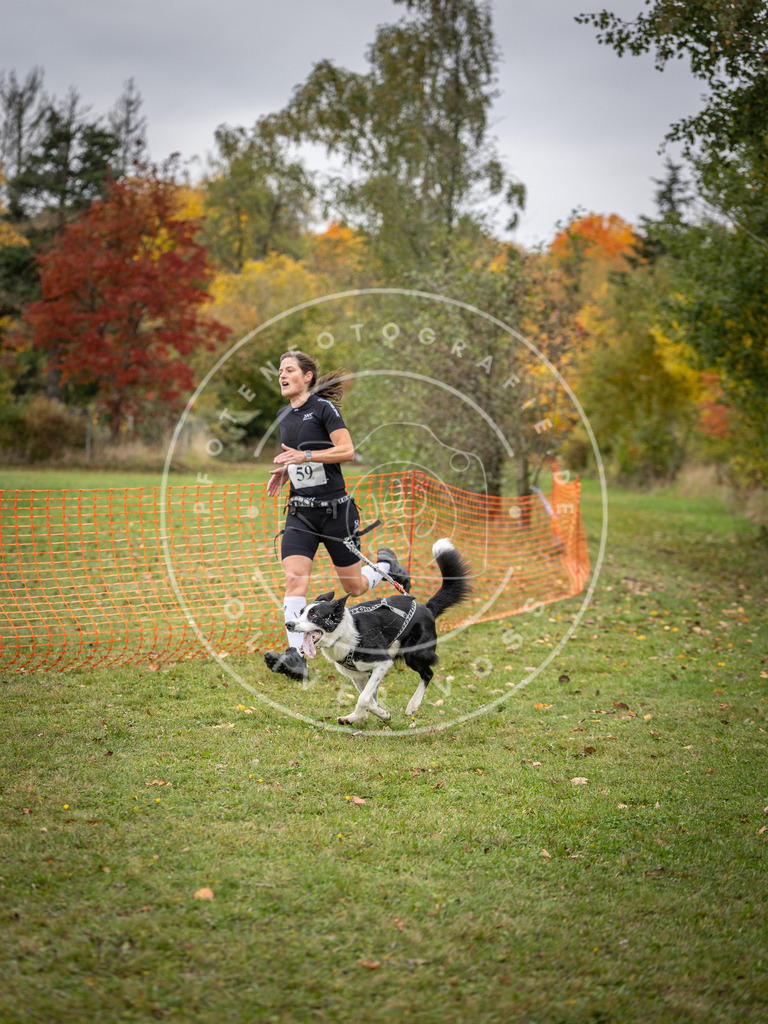 Pfotenfotografie_DV3A2631 | Hundefotografie, Tierfotograf, Pfotenfotografie, Fotoshooting Hund, Hunde Portrait, Hundesport, Hundeportraits, Heideshooting, Hunde, Sportfotograf, Hundefotograf, Turnierhundsport, THS,  - Realisiert mit Pictrs.com