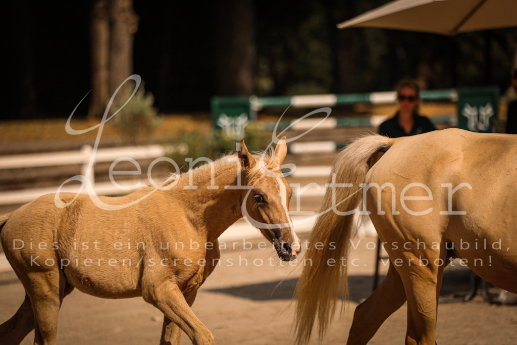 10.DoRP00001 | Leoni Ertmer Photography - Realisiert mit Pictrs.com