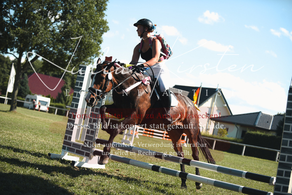 DSC_7428 | Pferde- und Turnierfotografie in Westsachsen. Pferdeportraits, Auftragszeichnungen und intuitive Kunst.