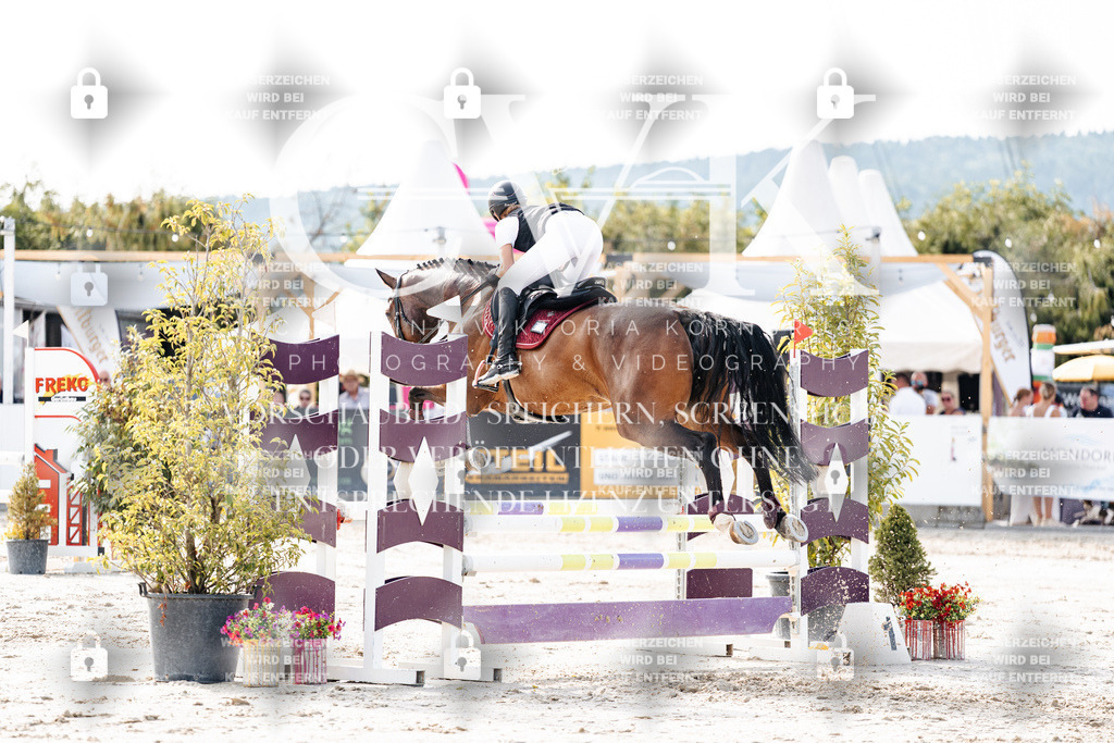 CK905811 | Turnierfotografie Pferdefotografie Trier Rheinland-Pfalz Pferdesport Reitsport Tierfotografie Sportfotografie Pferdevideo Pferdevideografie Equestrianvideography equestrianphotography  - Realisiert mit Pictrs.com