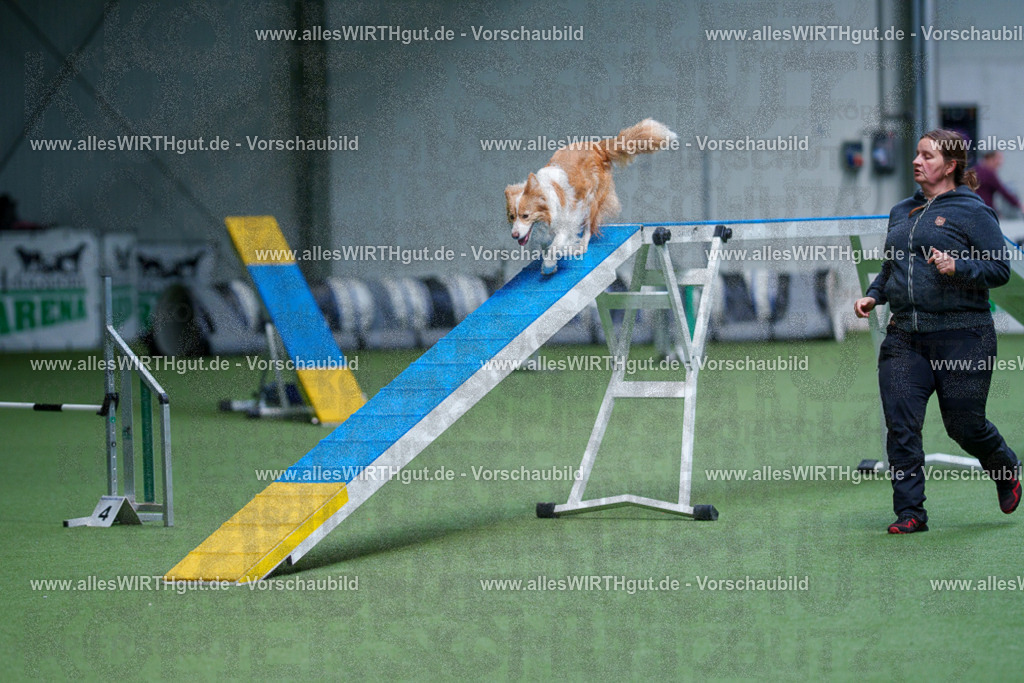 @allesWIRTHgut_Tierfotografie - www.allesWIRTHgut.de - 2604260920-7R507371 | Professionelle Tierfotografie in Mönchengladbach von Daniel Wirth (allesWIRTHgut). Liebevolle & natürliche Bilder von Hunden & Katzen für unvergessliche Erinnerungen.