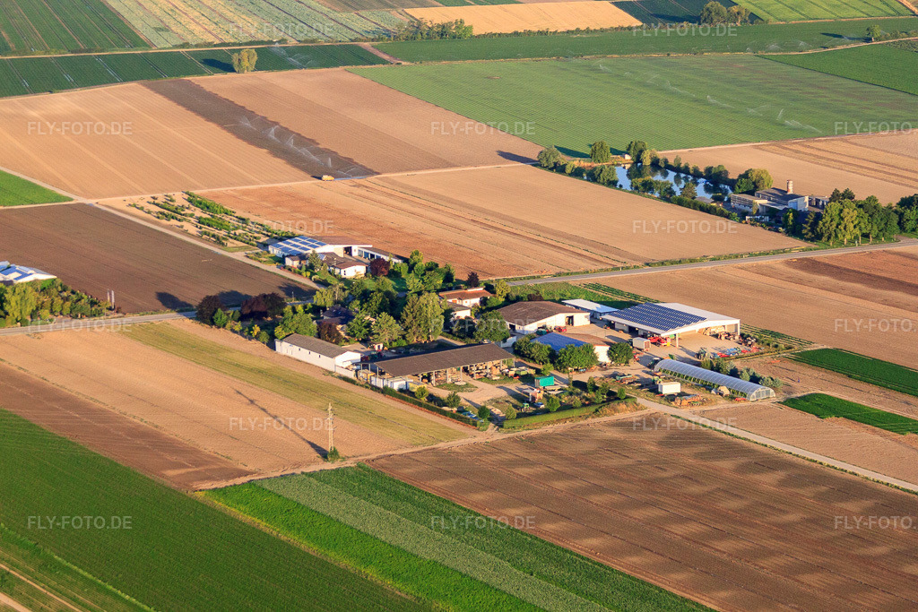 Luftbild: Sülzerhof mit Steig GmbH Obst und Gemüse-Großhandel in Mutterstadt im Bundesland Rheinland-Pfalz in Deutschland. Foto: IMG_69526.jpg vom 04.07.2014 durch Werner Riehm/FLY-FOTO.deAuflösung des Originals: 4752 x 3168 px