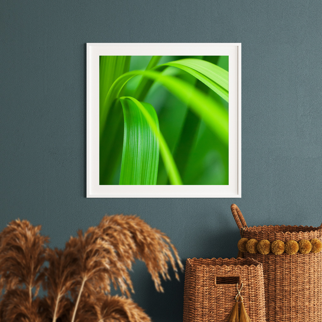 Tropische Grünpflanze für Ihr Wohnzimmer | Anwendungsbeispiel für die Gestaltung Ihres Wohnzimmers. Sie finden dieses Motiv in der Galerie Fotokunst im Quadrat (https://shop.soulimages.eu/img/1ovrw9). - Realisiert mit Pictrs.com