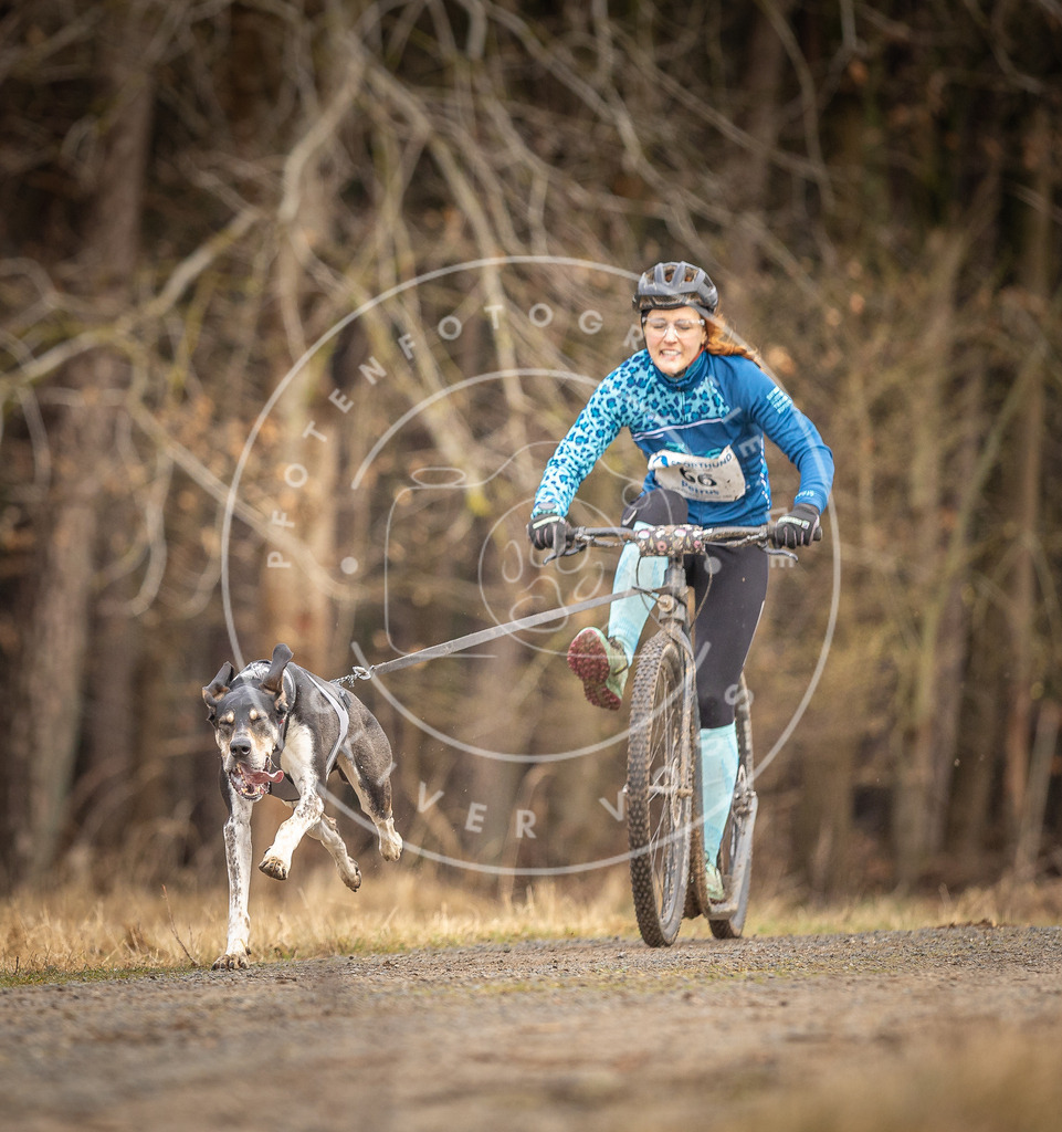DV3A3389 | Hundefotografie, Tierfotograf, Pfotenfotografie, Fotoshooting Hund, Hunde Portrait, Hundesport, Hundeportraits, Heideshooting, Hunde, Sportfotograf, Hundefotograf, Turnierhundsport, THS,  - Realisiert mit Pictrs.com