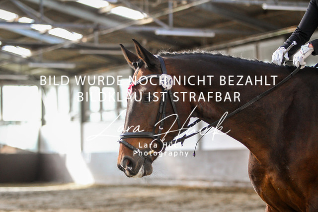 DKP45751 | larahueckfotografie