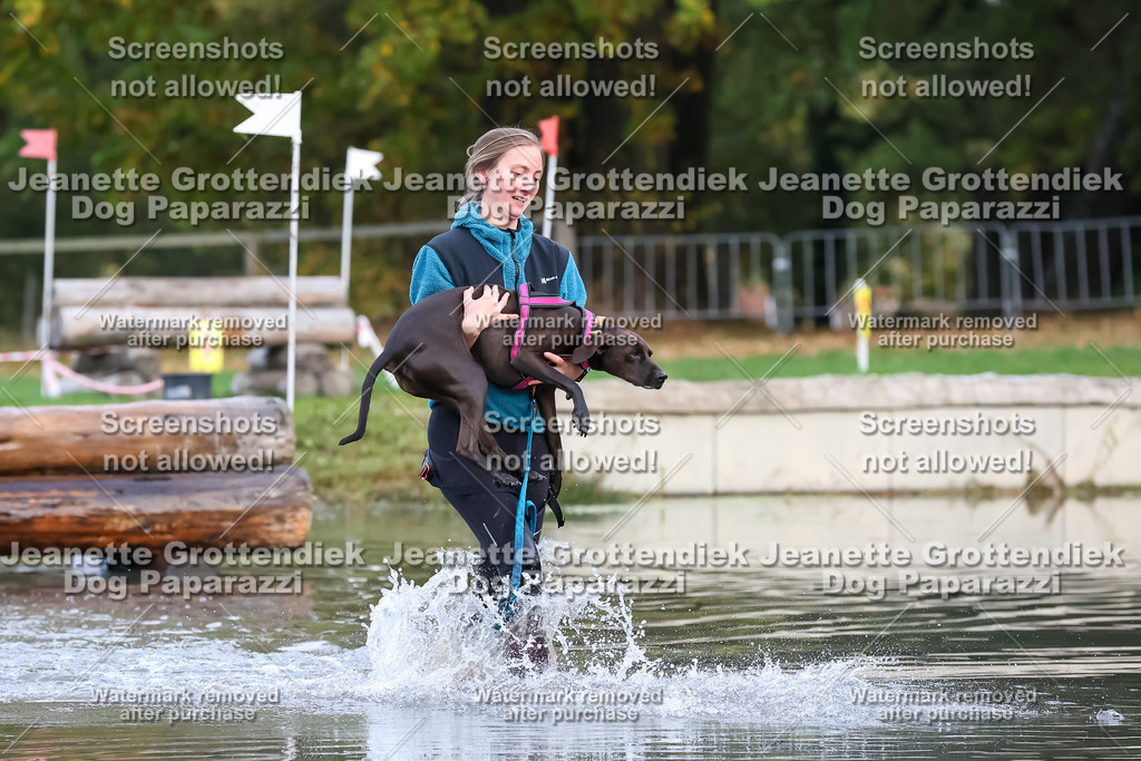 Dog Paparazzi - Strongdog 10-25-6548 | Dog Paparazzi Jeanette Grottendiek Fotografie & Videografie - Realisiert mit Pictrs.com