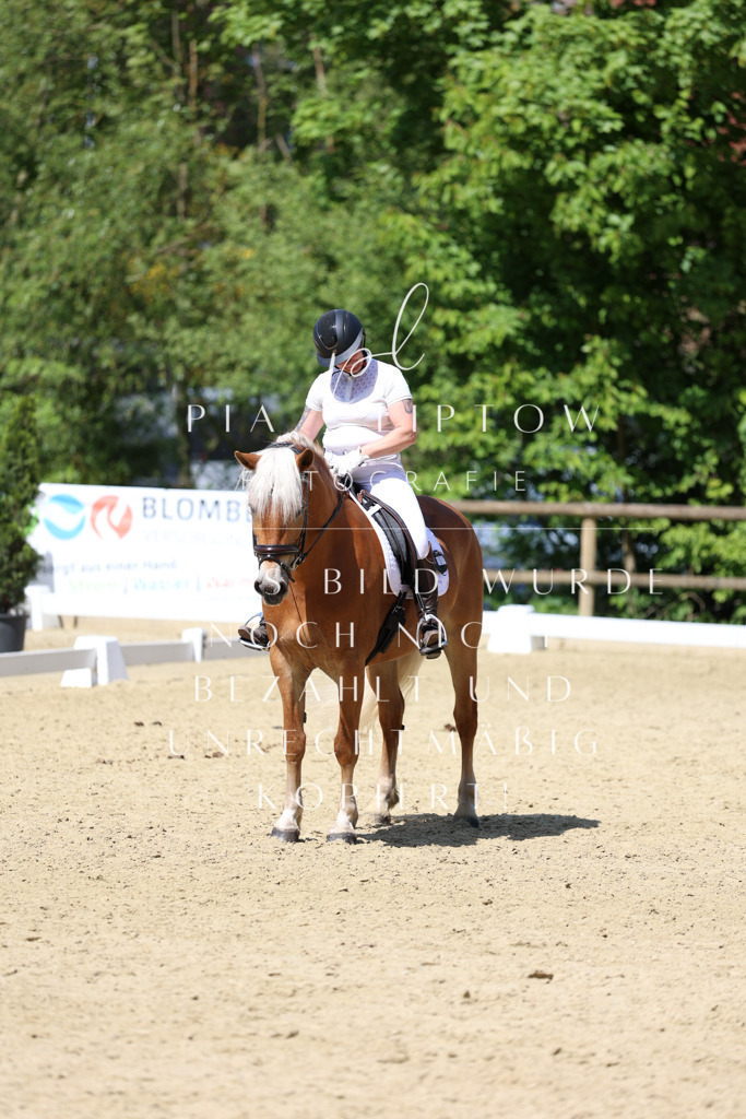 IMGS3935 | pl-fotografie