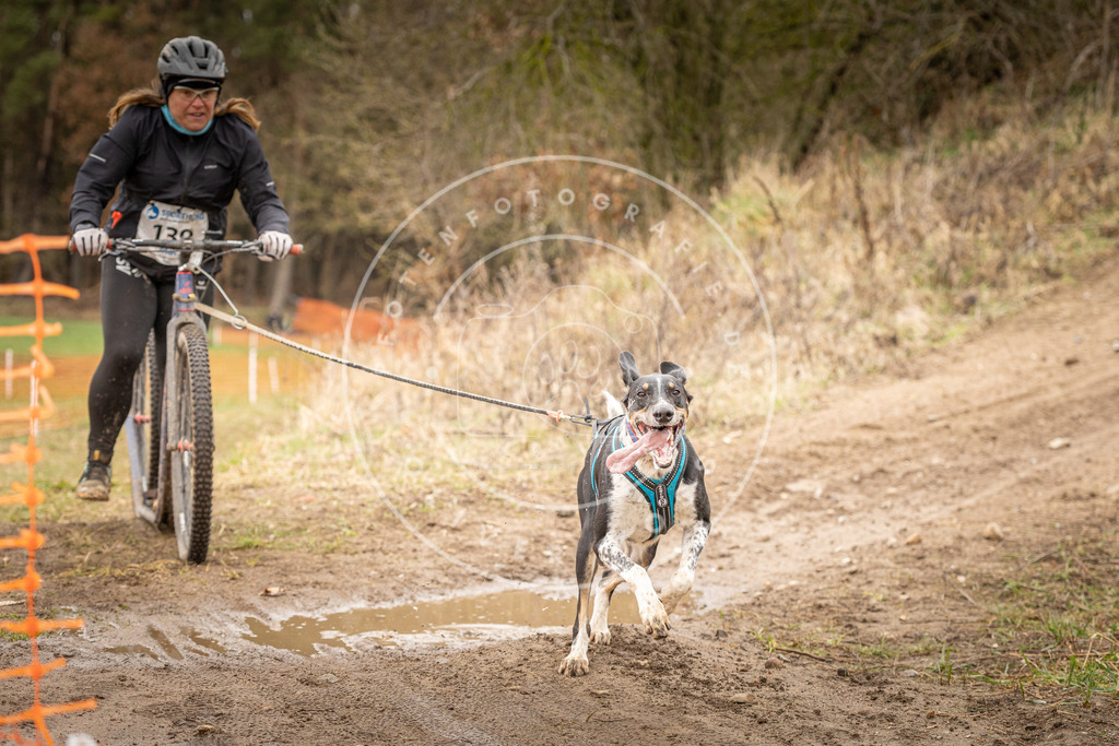 DV3A1511 | Hundefotografie, Tierfotograf, Pfotenfotografie, Fotoshooting Hund, Hunde Portrait, Hundesport, Hundeportraits, Heideshooting, Hunde, Sportfotograf, Hundefotograf, Turnierhundsport, THS,  - Realisiert mit Pictrs.com