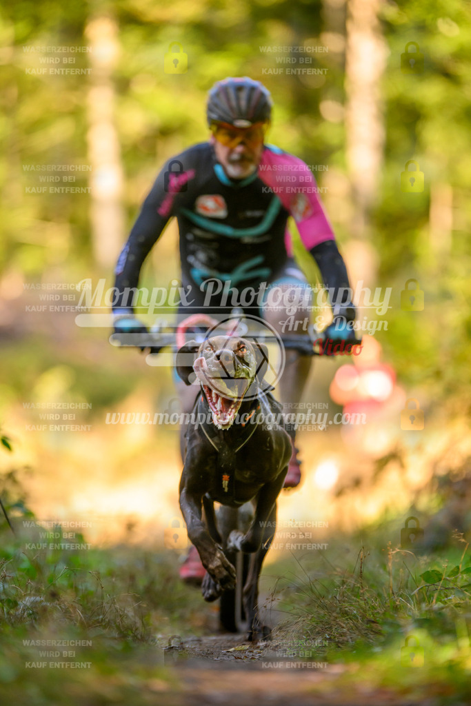 MompixPhotography_Yens2025_B3-90 | PayLife