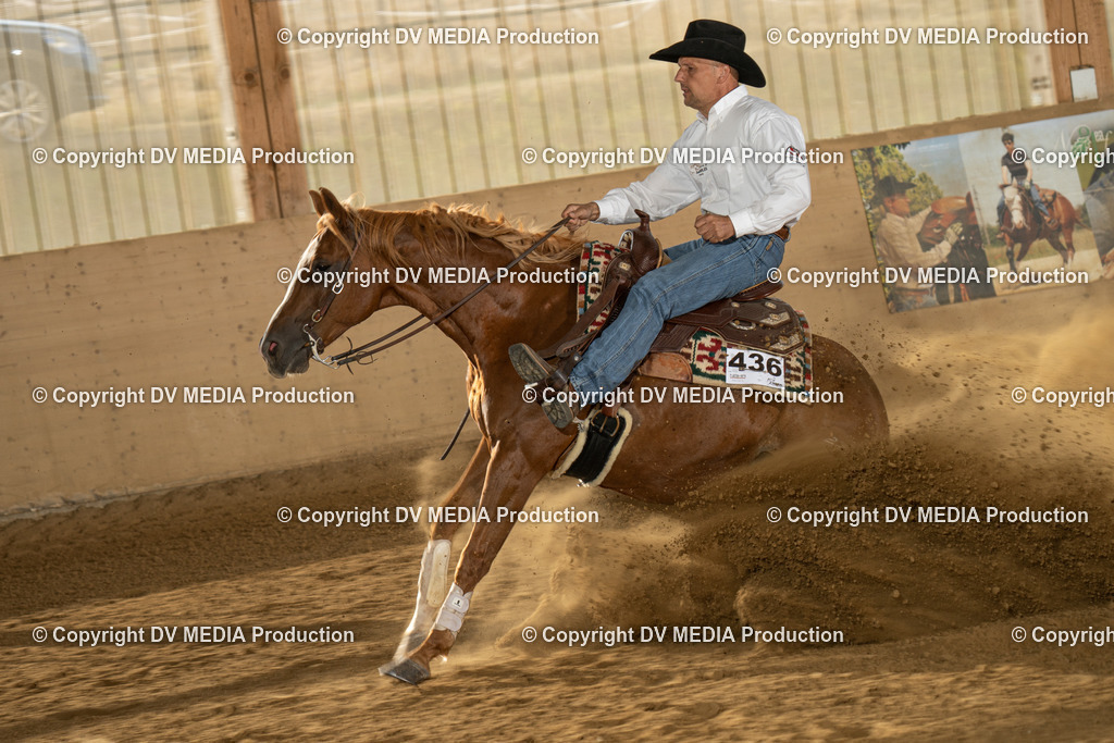 LAU01951 | dv-media-shop - Realisiert mit Pictrs.com