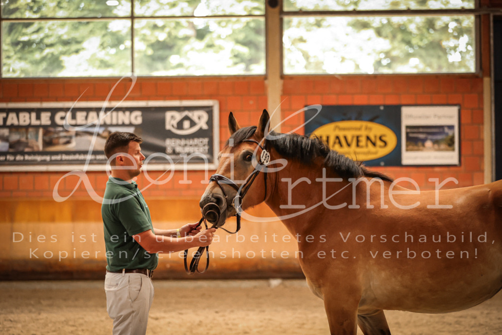 SaFL00288 | Leoni Ertmer Photography - Realisiert mit Pictrs.com