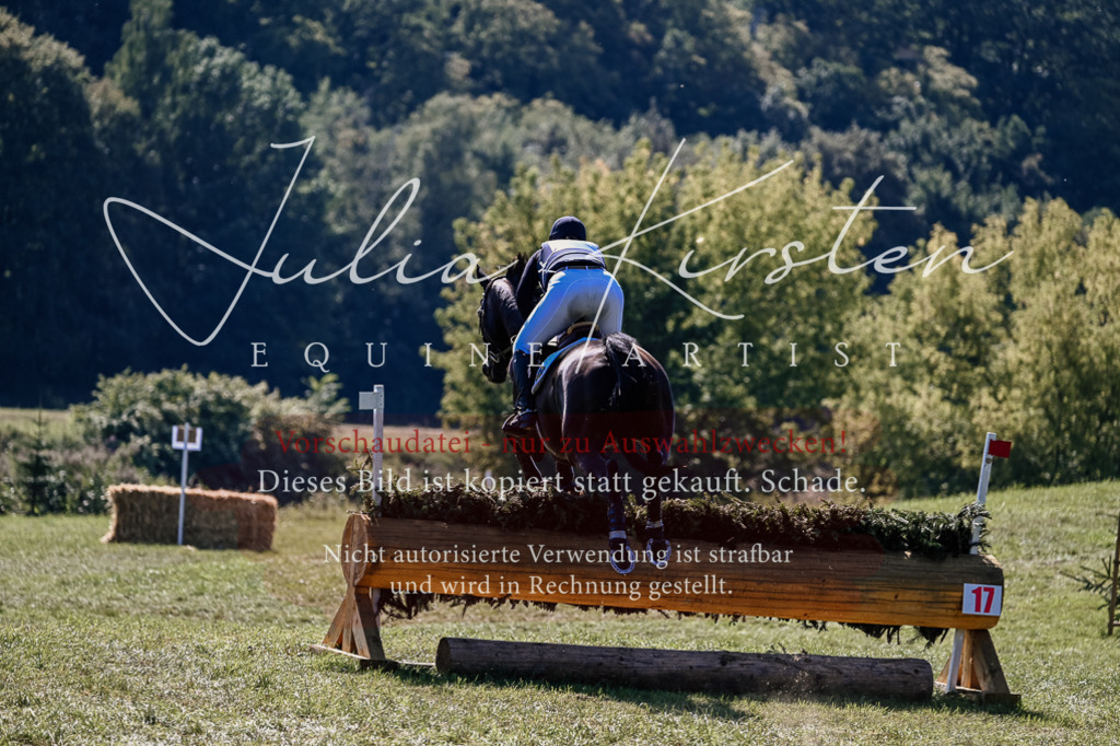 DSC_1643 | Pferde- und Turnierfotografie in Westsachsen. Pferdeportraits, Auftragszeichnungen und intuitive Kunst.