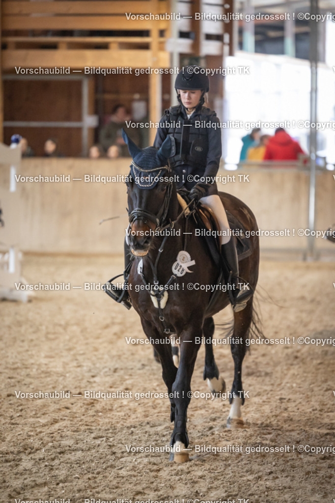 _D5A9989 | Emotionale Pferde- & People-Fotografie rund um Heidelberg, Leimen & Umgebung. Natürliche Fotos von Pferd, Mensch & Familie. Jetzt Termin sichern!