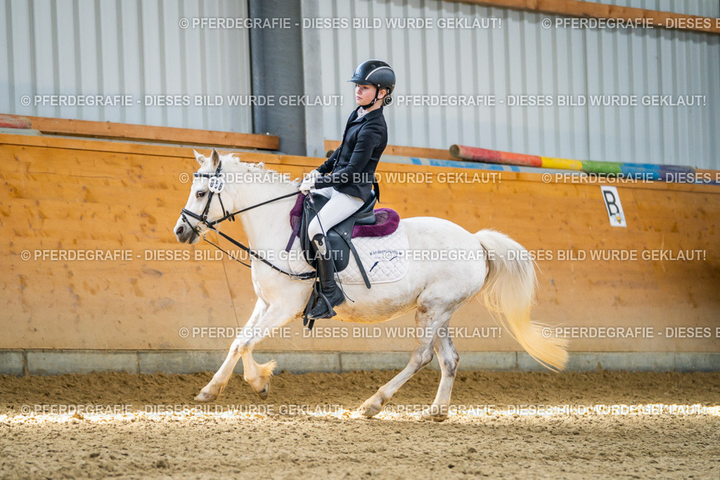 DSC02615 | Pferdegrafie