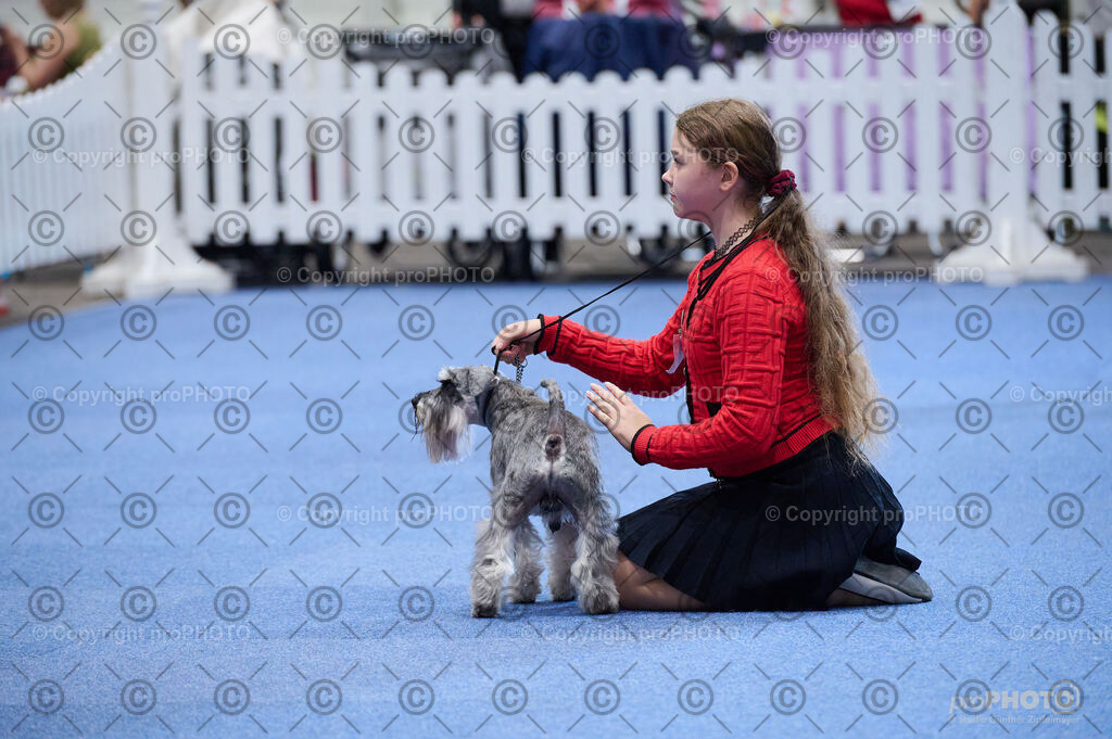 202406_ÖKV-IHA-Tulln24_DSC_4733 | proPHOTO - Realisiert mit Pictrs.com