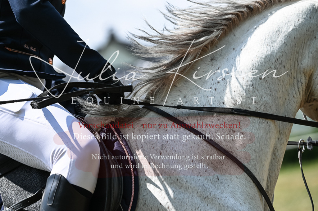 DSC_9248 | Pferde- und Turnierfotografie in Westsachsen. Pferdeportraits, Auftragszeichnungen und intuitive Kunst.