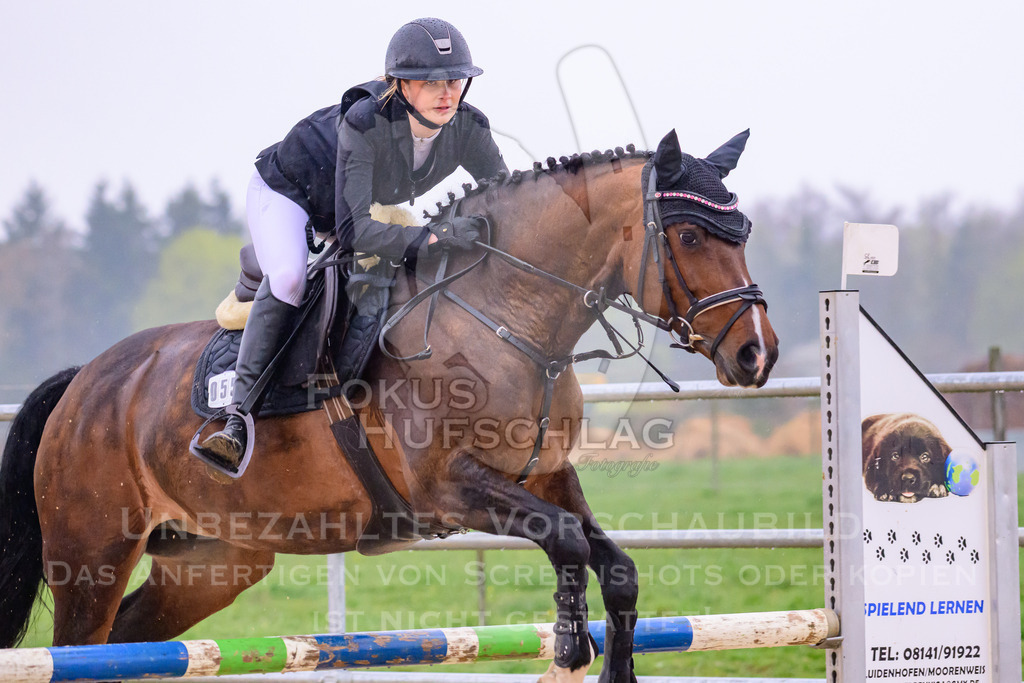 10042026-Mammendorf-Prfg14-0126 | Fokus Hufschlag Fotografie - Realisiert mit Pictrs.com