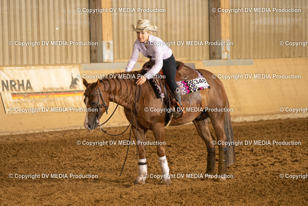 LAU00251 | dv-media-shop - Realisiert mit Pictrs.com