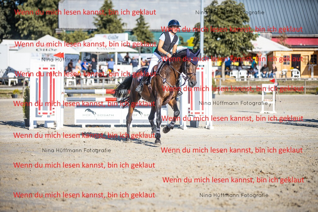 BK1A6112 | Turnierbilder Turnierfotos Nina Hüffmann Turnierfotografie Pferdefotografie Tierzeichnung Haustierzeichnung Pferdezeichnung Hundezeichnung Videograf  - Realisiert mit Pictrs.com