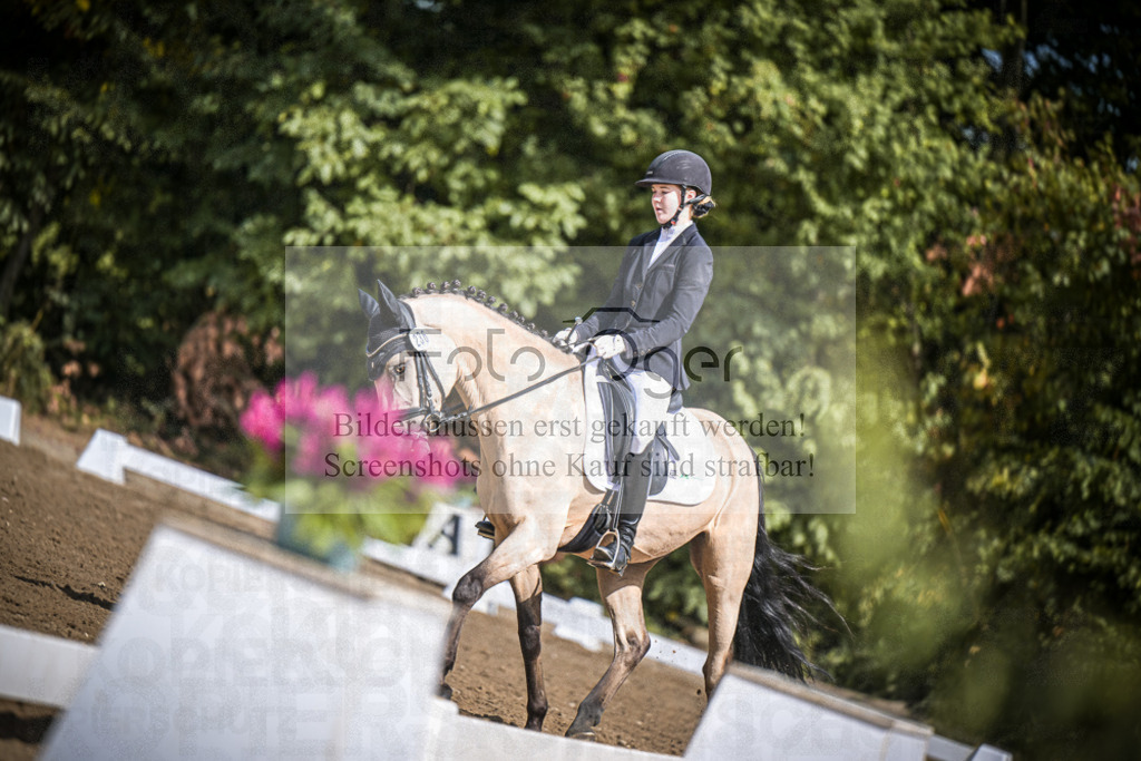 DOS_0778 | Entdecke hochwertige Reitturnierfotos von Foto Oger. Professionell, emotional und authentisch – jetzt Lieblingsmomente im Shop bestellen.Deutschlandweite Turnierfotografie. - Realisiert mit Pictrs.com