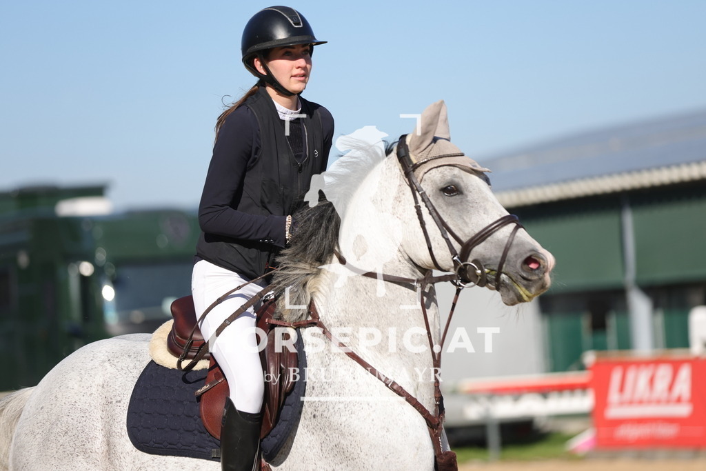 0P6A9159 | Willkommen bei Brunnmayr - Design & Fotografie – Ihrem Spezialisten für Reitturniere und Pferdeveranstaltungen in Oberösterreich, Salzburg und Bayern! Seit über 17 Jahren sind wir leidenschaftlich dabei.