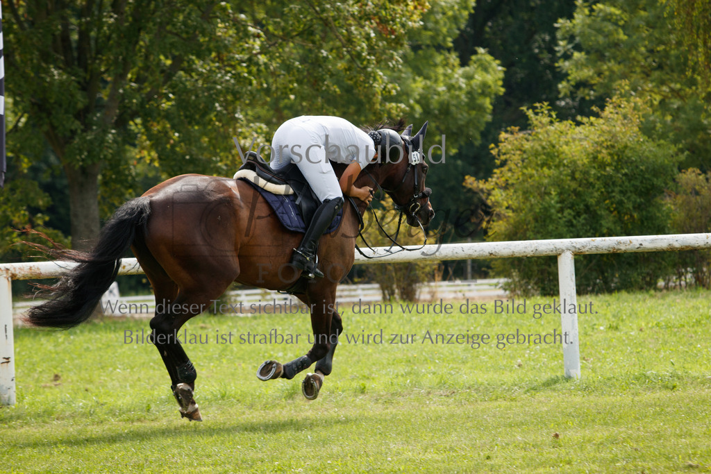 IMG_2907 | P. Berger Fotografie - Realisiert mit Pictrs.com