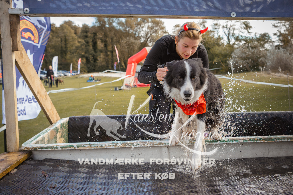 1325_ZZ90859-2 | kk-dogfotos