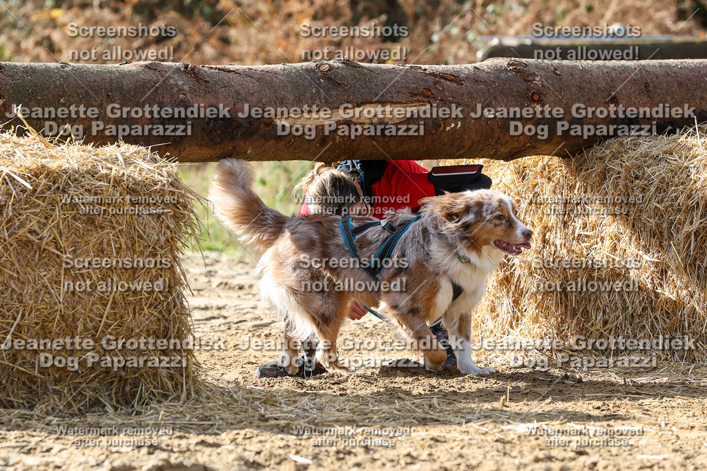 Dog Paparazzi - Strongdog 10-25-5726 | Dog Paparazzi Jeanette Grottendiek Fotografie & Videografie - Realisiert mit Pictrs.com