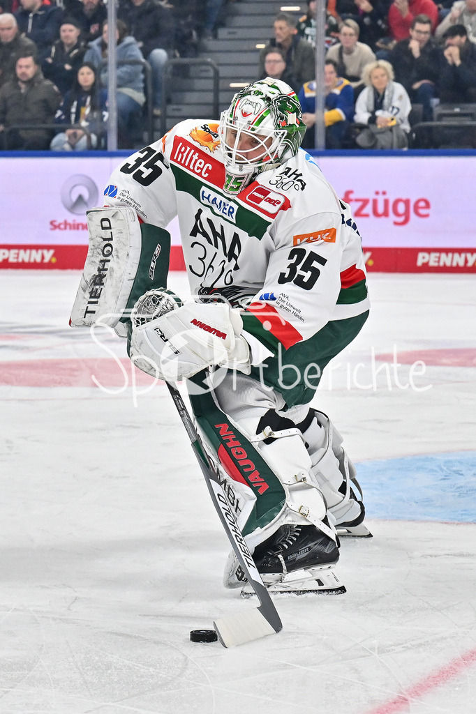 EHC RB München - Augsburger Panther | am Puck Markus KELLER (Augsburger Panther #35) / Freisteller / Einzelfoto / DEL: EHC RB Muenchen - Augsburger Panther, SAP Garden am 23.11.2024