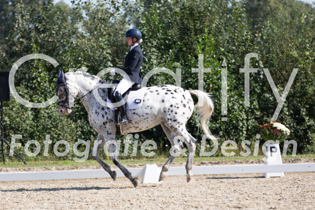 IMG_4682 | Creatify Fotografie