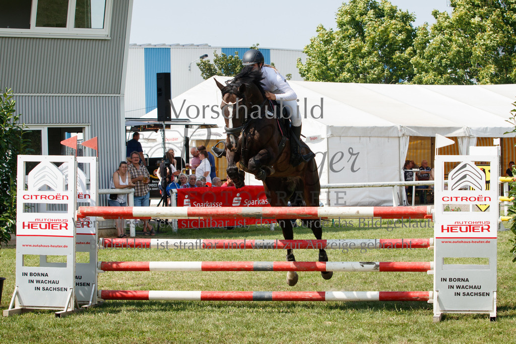 IMG_3522 | P. Berger Fotografie - Realisiert mit Pictrs.com